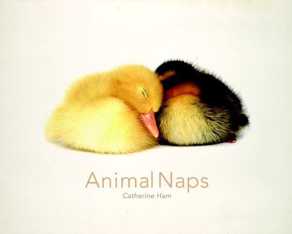Cover Art for 9780983201410, Animal Naps by Catherine Ham
