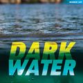 Cover Art for 9781408156513, Dark Water by Cindy Jefferies