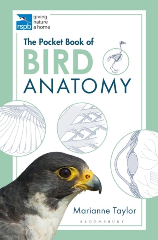 Cover Art for 9781472976925, Pocket Book Of Bird Anatomy by Marianne Taylor