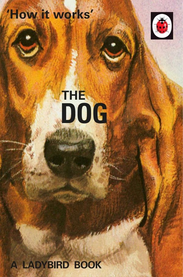 Cover Art for 9780718184353, How It Works: The Dog by Jason Hazeley, Joel Morris