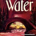 Cover Art for 9780395081716, Devil Water by Anya Seton