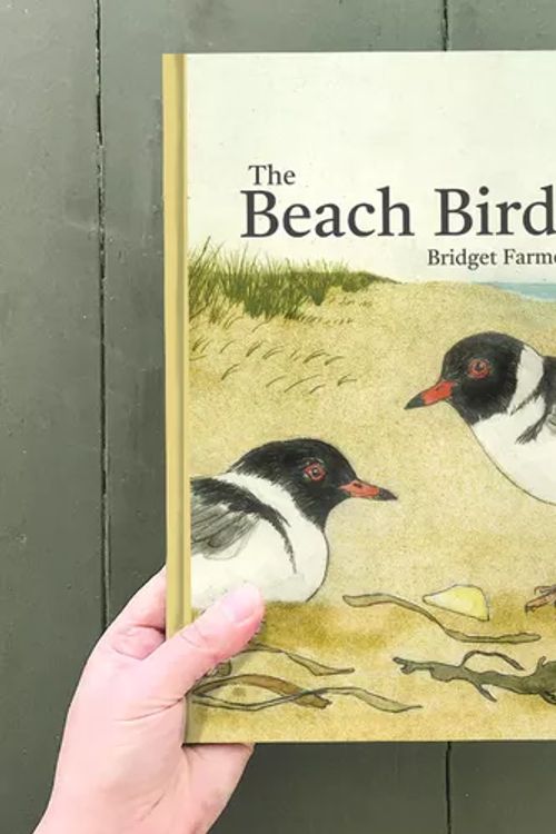 Cover Art for 9780645713701, The Beach Birds by Bridget Farmer