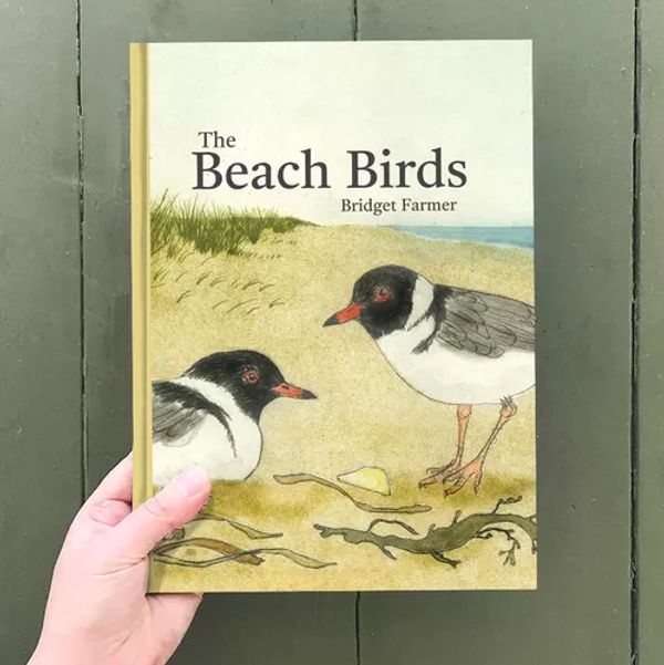 Cover Art for 9780645713701, The Beach Birds by Bridget Farmer