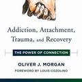 Cover Art for 9780393713183, Addiction, Attachment, Trauma and Recovery: The Power of Connection (Norton Series on Interpersonal Neurobiology) by Oliver J. Morgan