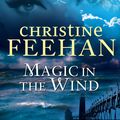 Cover Art for 9780349401898, Magic in the Wind by Christine Feehan