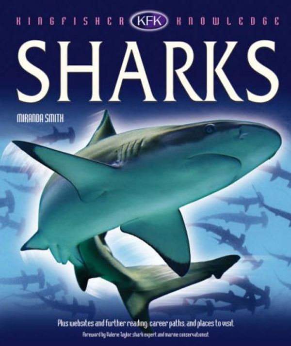 Cover Art for 9780753416051, Sharks (Kingfisher Knowledge) by Smith, Miranda