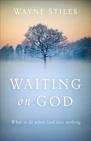 Cover Art for 9780801018459, Waiting on GodWhat to Do When God Does Nothing by Wayne Stiles