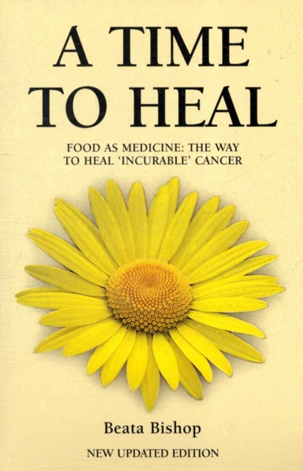Cover Art for 9781904439639, A Time to Heal by Beata Bishop