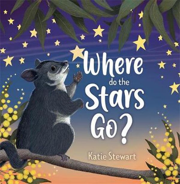 Cover Art for 9781760990480, Where do the stars go? by Katie Stewart