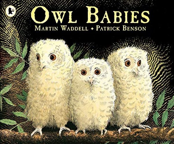 Cover Art for 8601300416243, Owl Babies by Martin Waddell