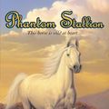 Cover Art for 9780064410854, Phantom Stallion #1: The Wild One by Farley, Terri