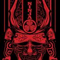 Cover Art for 9781848873889, Blood Ninja by Nick Lake