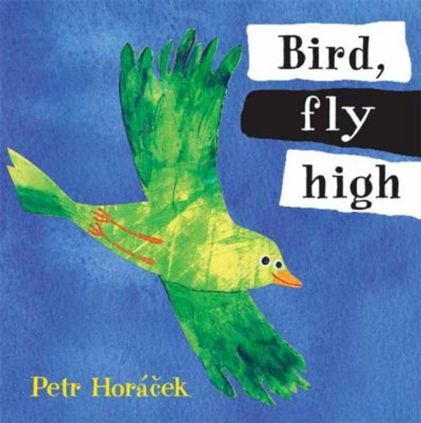 Cover Art for 0732483008234, Bird, Fly High by Petr Horacek