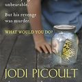 Cover Art for 9780340976937, Nineteen Minutes by Jodi Picoult