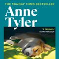 Cover Art for 9780099480013, The Accidental Tourist by Anne Tyler