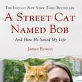 Cover Art for 9781250029461, A Street Cat Named Bob by James Bowen