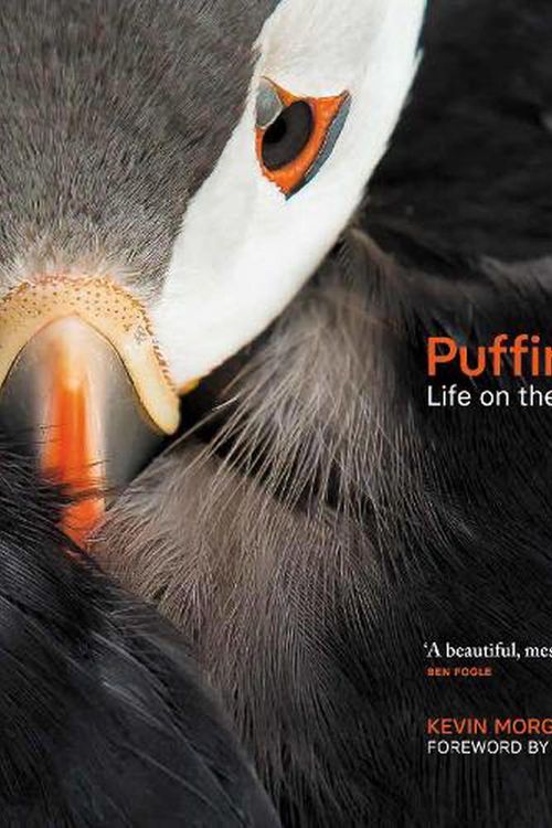 Cover Art for 9781913207779, Puffins: Life on the Atlantic Edge by Kevin Morgans