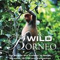 Cover Art for 9781845373788, Wild Borneo by Nick Garbutt