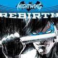 Cover Art for B088W81XPK, Nightwing (2016-) (Collections) (10 Book Series) by Tim Seeley, Michael McMillian, Sam Humphries, Benjamin Percy, Scott Lobdell, Fabian Nicieza, Zack Kaplan, Dan Jurgens