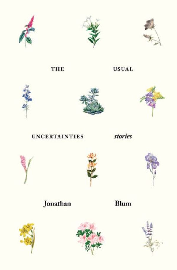 Cover Art for 9780999418659, The Usual Uncertainties: Stories by Jonathan Blum