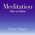 Cover Art for B000VM9YV8, Meditation Now or Never by Steve Hagen
