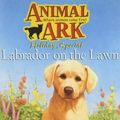 Cover Art for 9780340873885, Labrador on the Lawn by Daniels, Lucy