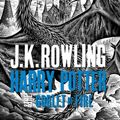 Cover Art for 9781408865422, Harry Potter and the Goblet of Fire by J.K. Rowling