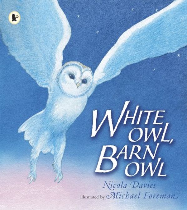 Cover Art for 9781406313123, White Owl, Barn Owl (Paperback) by Nicola Davies