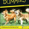 Cover Art for 9780470291887, Chihuahuas for Dummies by O'Neil, Jacqueline