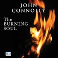Cover Art for 9781445017198, The Burning Soul by John Connolly