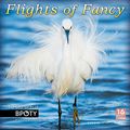 Cover Art for 9781531901790, Flights Of Fancy: The Best Birds Of BPOTY, Bird Photographer Of The Year 2018 Wall Calendar by Bird Photographer of the Year Ltd.
