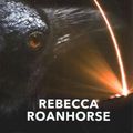 Cover Art for 9781638083672, Fevered Star by Rebecca Roanhorse