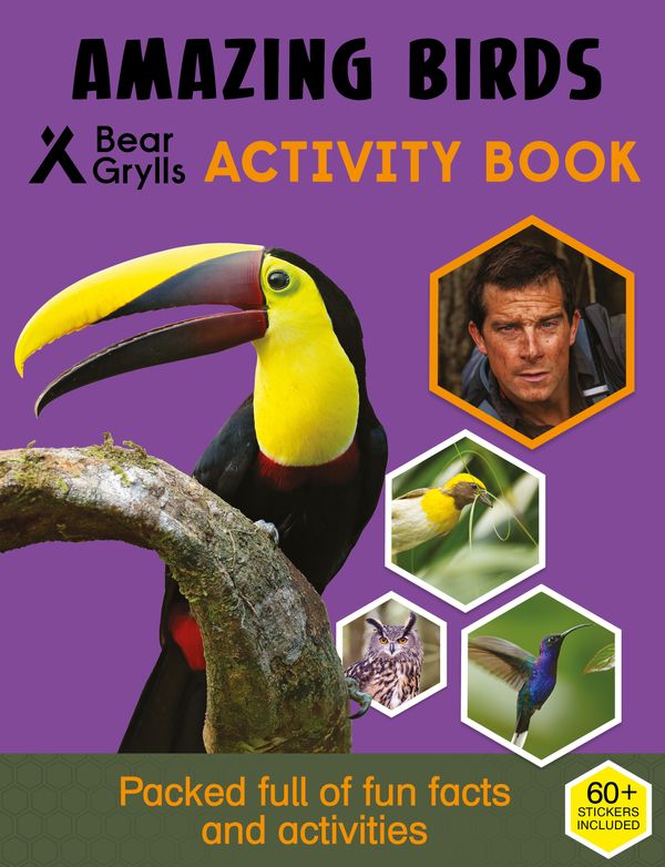 Cover Art for 9781786960467, Bear Grylls Activity Series: Birds - Bear Grylls by Bear Grylls