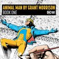 Cover Art for 9781401299088, Animal Man by Grant Morrison 1 by Grant Morrison
