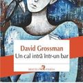 Cover Art for 9789734655281, UN CAL INTRA INTR-UN BAR by David Grossman