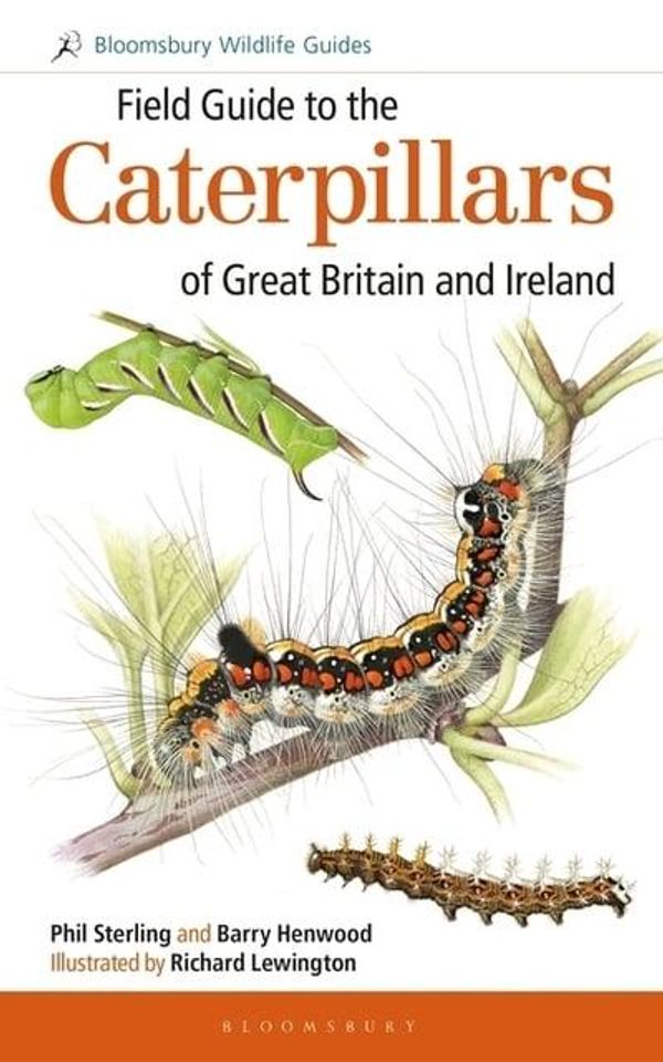 Cover Art for 9781472933584, Field Guide to the Caterpillars of Great Britain and Ireland (Field Guides) by Phil Sterling, Barry Henwood