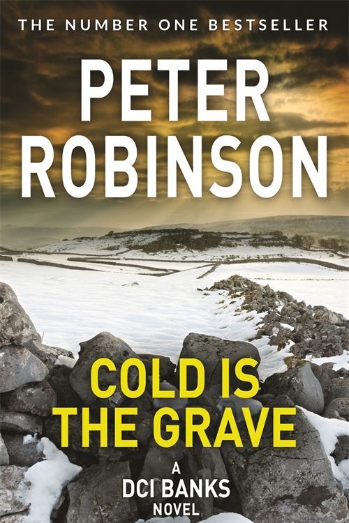 Cover Art for 9781509884049, Cold is the Grave by Peter Robinson