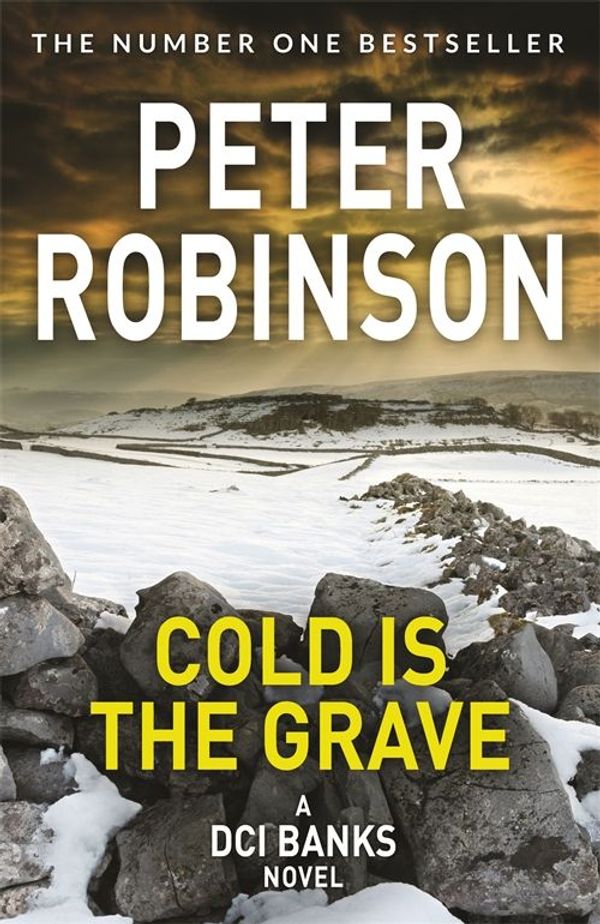 Cover Art for 9781509884049, Cold is the Grave by Peter Robinson