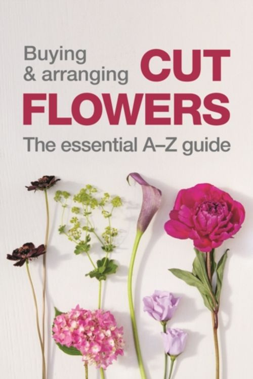 Cover Art for 9780993571503, Buying & Arranging Cut Flowers - The Essential A-Z Guide by Judith Blacklock