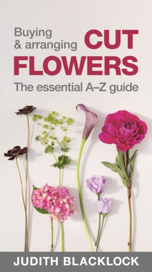 Cover Art for 9780993571503, Buying & Arranging Cut Flowers - The Essential A-Z Guide by Judith Blacklock