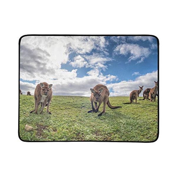 Cover Art for 6481312824975, Cute and Funny Close-up of Kangaroo Pattern Portable and Foldable Blanket Mat 60x78 Inch Handy Mat for Camping Picnic Beach Indoor Outdoor Travel by Unknown