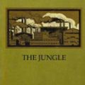 Cover Art for 9781512236972, The JungleThe Exposure of Health Violations and Unsanitar... by Upton Sinclair