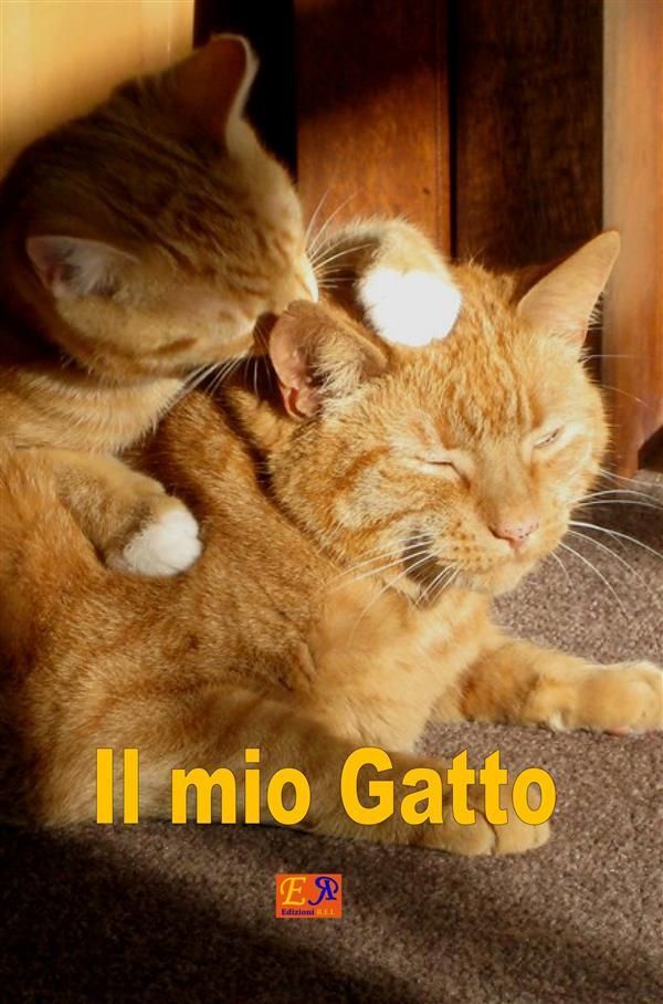 Cover Art for 9782372970792, Il mio Gatto by AA. VV.