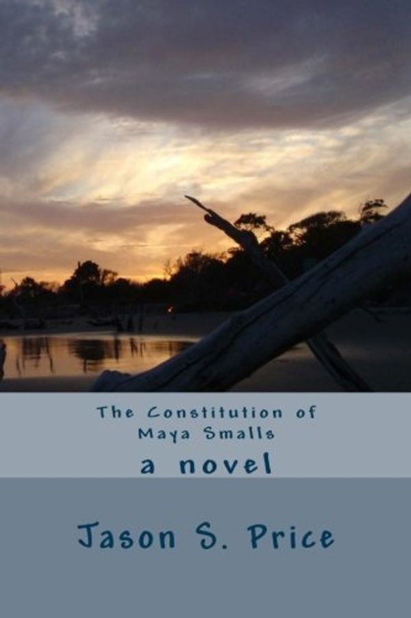 Cover Art for 9781500506445, The Constitution of Maya Smalls by Jason Price