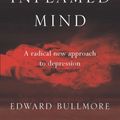 Cover Art for 9781925791044, Inflamed Mind by Edward Bullmore