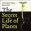 Cover Art for 9780060915872, The Secret Life of Plants by Peter Tompkins