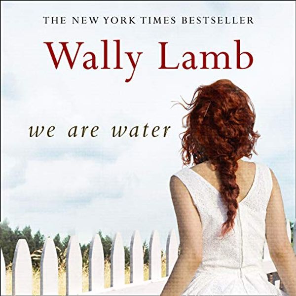 Cover Art for B07PNNXZDC, We Are Water by Wally Lamb
