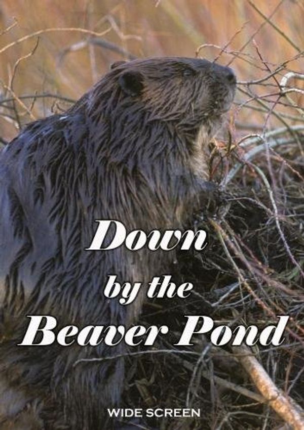 Cover Art for 0885444326103, "Down by the Beaver Pond" Wildlife Behavior Video DVD by Unknown