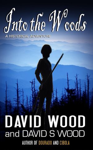 Cover Art for 9781513041872, Into the Woods by David Wood