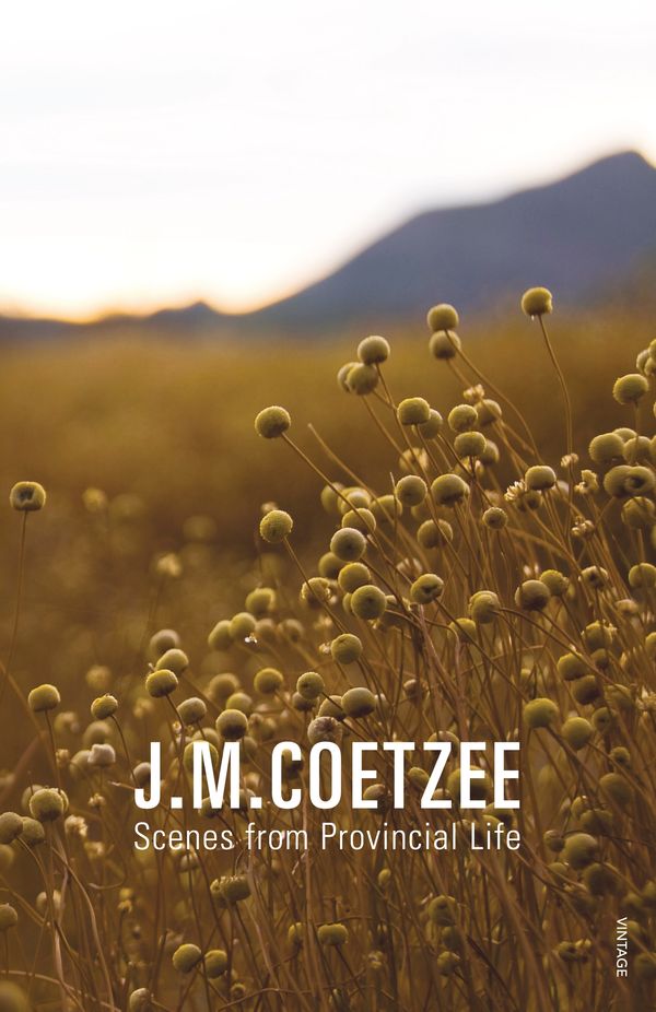Cover Art for 9781864712087, Scenes from Provincial Life by J. M. Coetzee